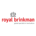 Royal Brinkman